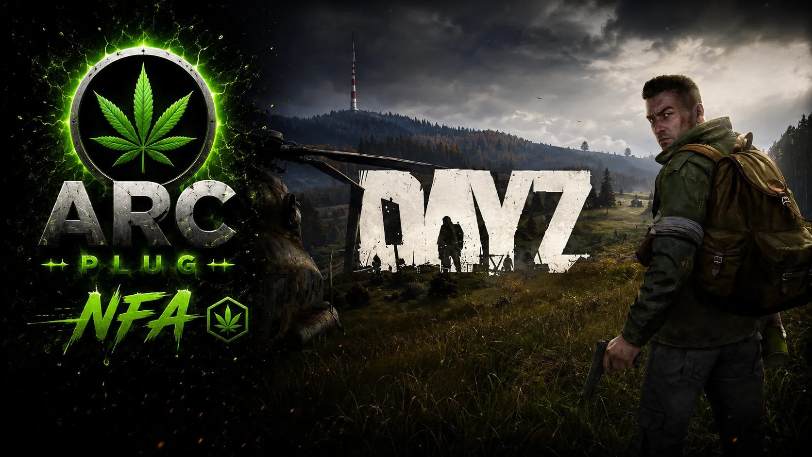 DayZ NFA